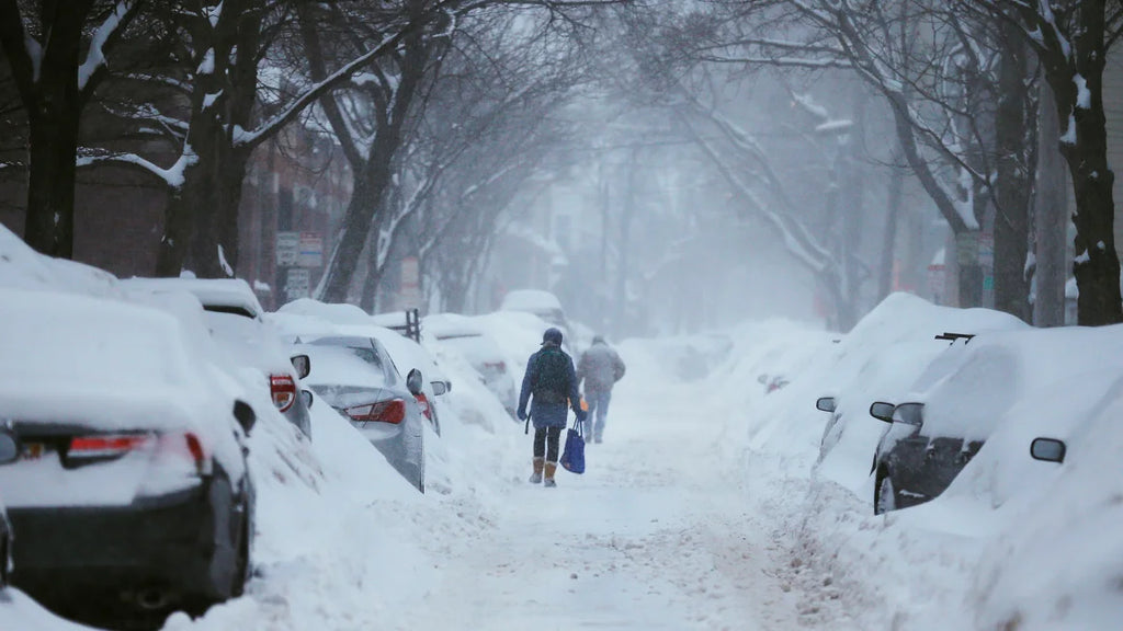 What you should have in stock when preparing for a winter storm