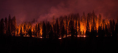 How Wildfires Affect California’s Water Supply