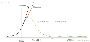 Coronavirus: The Hammer and the Dance