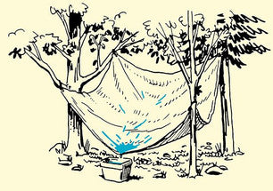 How to find and gather water in the wild