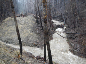 Buried in mud: Wildfires threaten North American water supplies