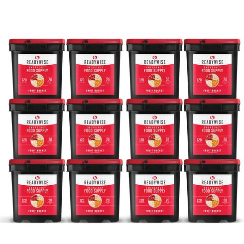 Readywise 1440 Serving Freeze Dried Fruits